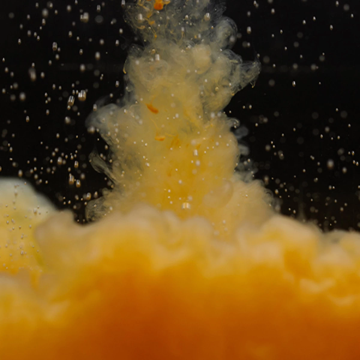 Sticky Baits Pure Calanus Liquid 500 Ml 5 Sticky Baits Pure Calanus Liquid 500 Ml - Afbeelding 3