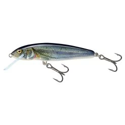 Salmo Minnow Floating 6 CM