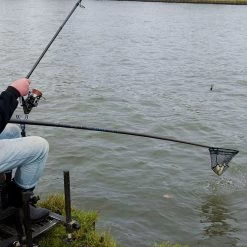 Cresta Pro-C Square Mesh Landingnet -Fishing Gear Verkoop 39f74efcfe844486b5e1f5afe806ea5e