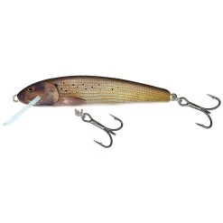 Salmo Minnow Floating 6 CM -Fishing Gear Verkoop 62076d44dc0741e5bc8ded10fb7b35de