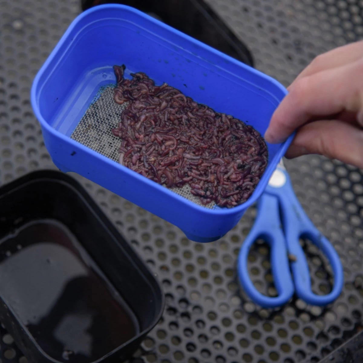 Cresta Baitstrainer 5 Cresta Baitstrainer - Afbeelding 3