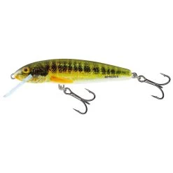 Salmo Minnow Floating 6 CM -Fishing Gear Verkoop 9f5b596b5d3049fa9a480e3b49132c40