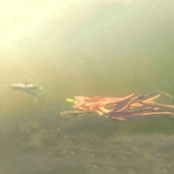 Zeck Propellor U-Float Solid Black -Fishing Gear Verkoop c1cee3e2fd654457b5b4d2749178dcdd